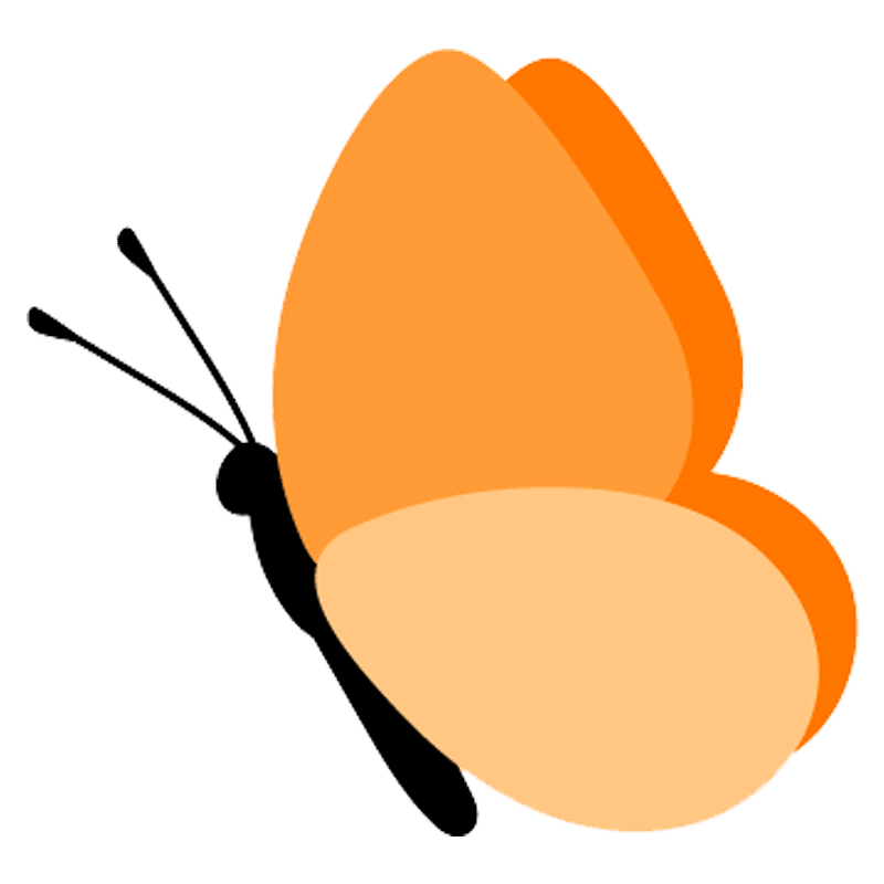 icon-lg-orange-butterfly