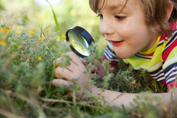 “Expecting” and Beginner’s Mind