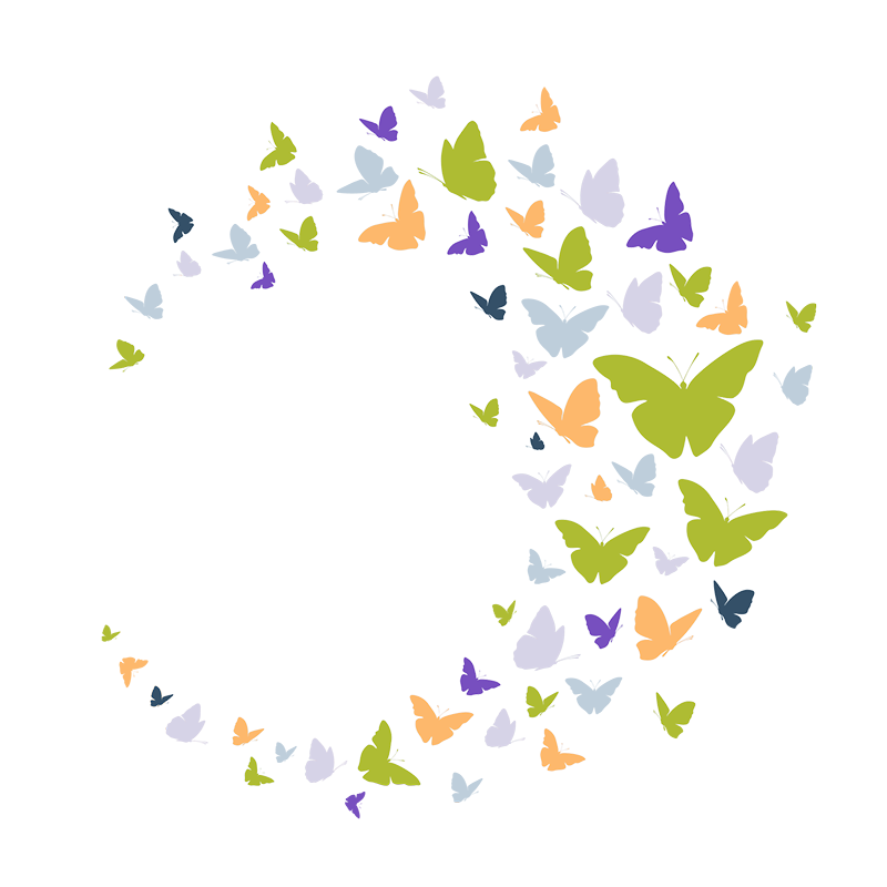 butterflies